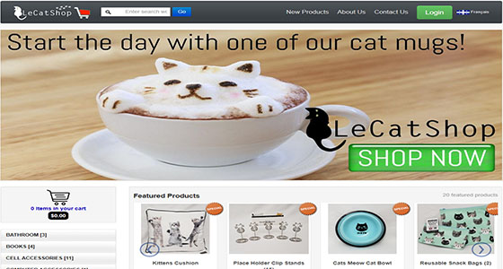 montreal website design and hosting